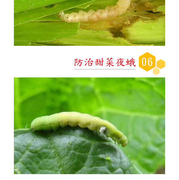 蘇云金桿菌懸浮劑-耕田人-潤(rùn)倍生物