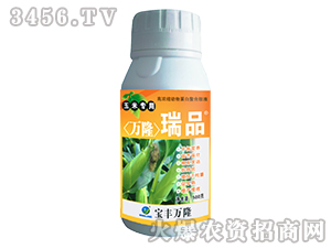 玉米專(zhuān)用葉面肥-萬(wàn)隆瑞品