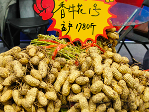 香?；?號花生種子