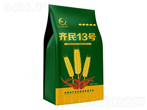 齊民13號(hào)-小麥種子-上之品